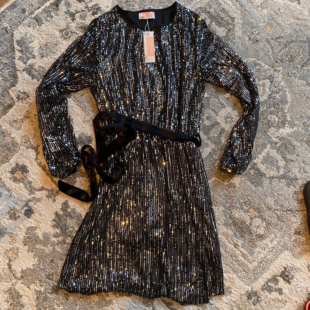 Sparkly Dinner Dress